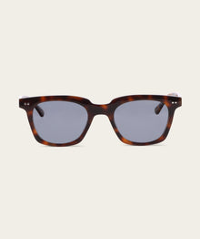 Jackson - Dark Tortoise (Polarized)