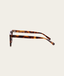 Jackson - Dark Tortoise (Polarized)