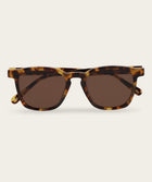 Stevie - Turtle (Polarized)