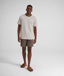 Mens Regular Fit Stripe Tee - x Ivory Multi